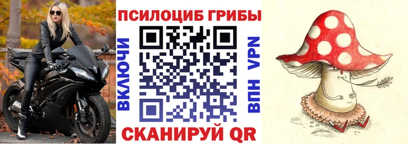 наркота  Кондопога  Псилоцибиновые грибы ЛСД 