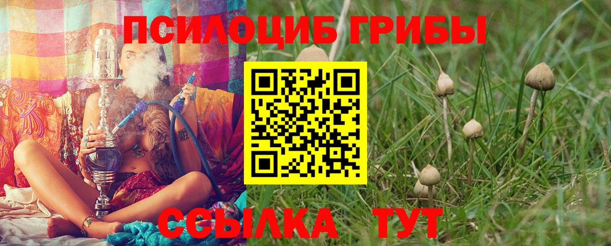 Галлюциногенные грибы ЛСД  Вход с VPN  Кондопога 